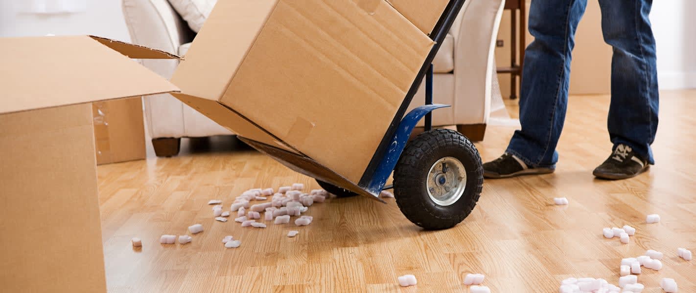 the best professional moving company